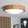 Brilagi - LED-kattovalaisin CARVALHO SLIM 1xE27/60W/230V tammi halkaisija 27 cm
