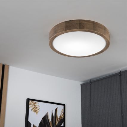 Brilagi - LED-kattovalaisin CARVALHO SLIM 1xE27/60W/230V tammi halkaisija 27 cm