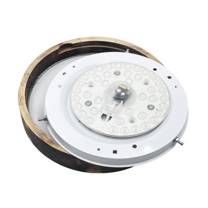 Brilagi - LED-kattovalaisin CARVALHO SLIM SMOKEY LED/20W/230V tammi Ø 27,5 cm