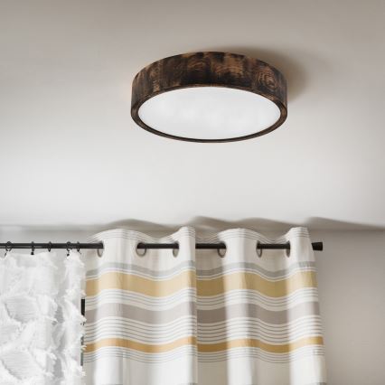 Brilagi - LED-kattovalaisin CARVALHO SMOKEY LED/36W/230V tammi halkaisija 37,5 cm