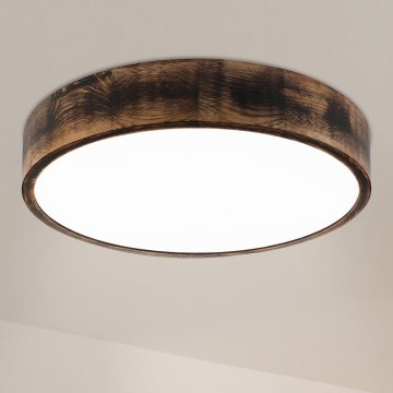 Brilagi - LED-kattovalaisin CARVALHO SMOKEY LED/36W/230V, tammi, halkaisija 47,5 cm