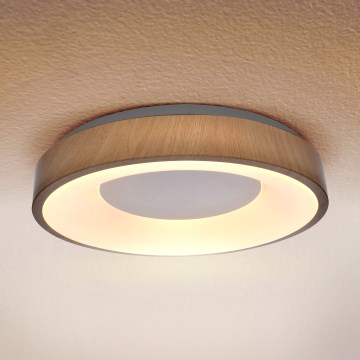 Brilagi - LED-kattovalaisin DORIA LED/24W/230V