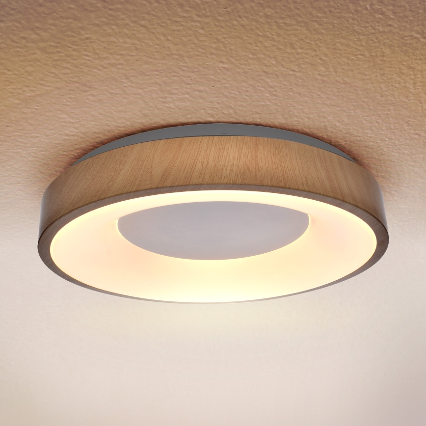 Brilagi - LED-kattovalaisin DORIA LED/24W/230V