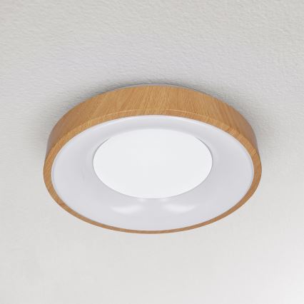 Brilagi - LED-kattovalaisin DORIA LED/24W/230V