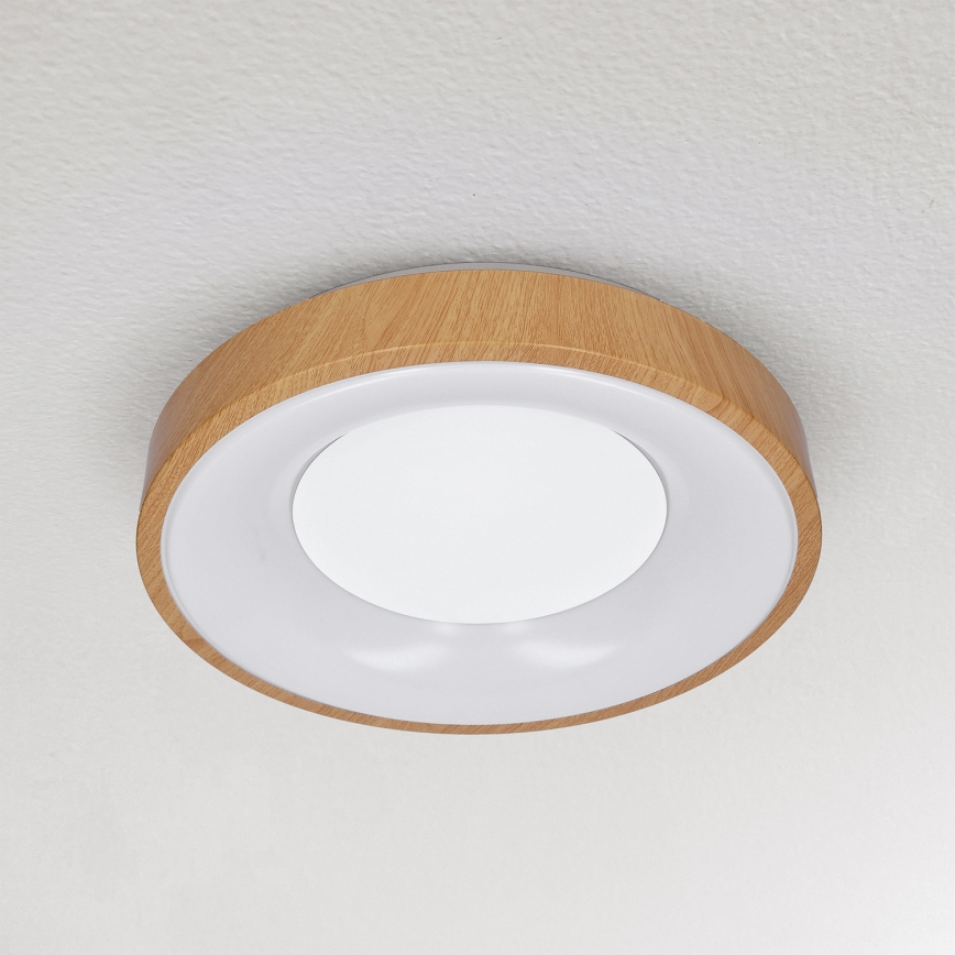 Brilagi - LED-kattovalaisin DORIA LED/24W/230V