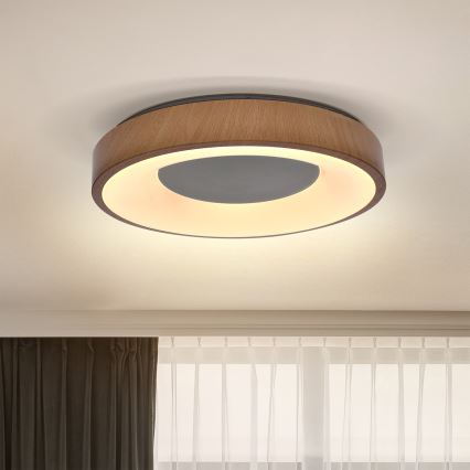 Brilagi - LED-kattovalaisin DORIA LED/24W/230V