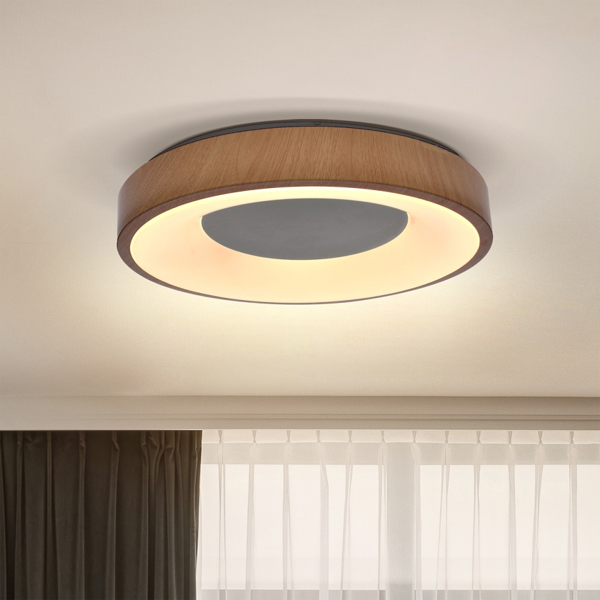 Brilagi - LED-kattovalaisin DORIA LED/24W/230V