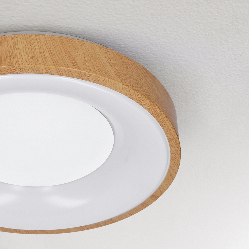 Brilagi - LED-kattovalaisin DORIA LED/24W/230V