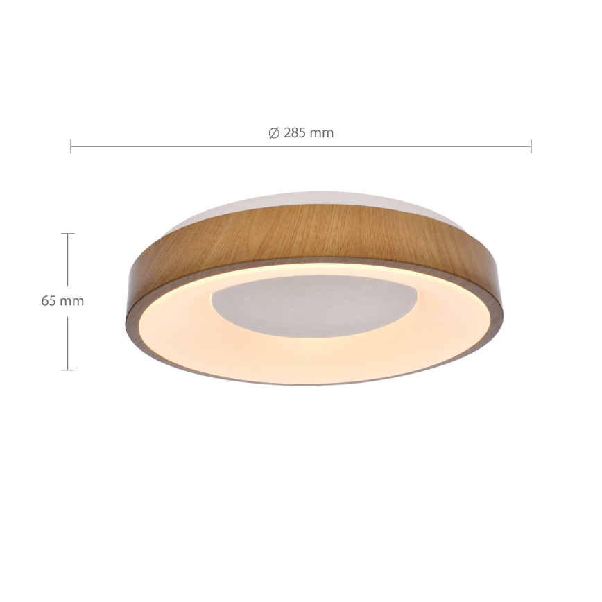 Brilagi - LED-kattovalaisin DORIA LED/24W/230V