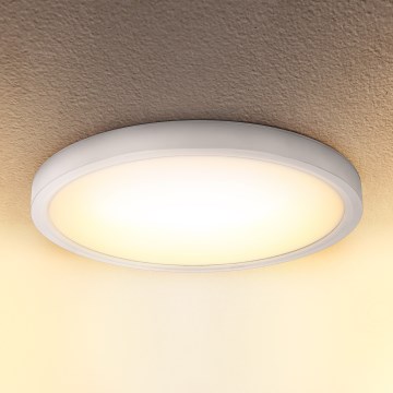 Brilagi - LED-kattovalaisin ESTELA LED/18W/230V valkoinen