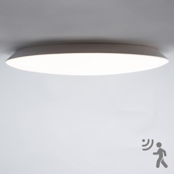 Brilagi - LED-kattovalaisin kylpyhuoneeseen kanssa sensori VESTAS LED/45W/230V 4000K IP54