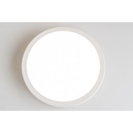 Brilagi - LED-kattovalaisin kylpyhuoneeseen PERA LED/18W/230V halkaisija 22 cm IP65 valkoinen