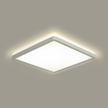 Brilagi - LED-kattovalaisin kylpyhuoneeseen ULTRA SLIM LED/18W/230V 30x30 cm valkoinen IP54
