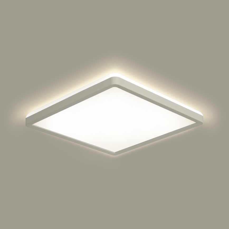 Brilagi - LED-kattovalaisin kylpyhuoneeseen ULTRA SLIM LED/18W/230V 30x30 cm valkoinen IP54