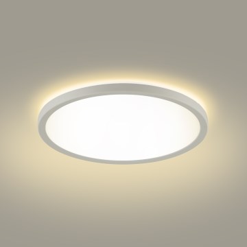 Brilagi - LED-kattovalaisin kylpyhuoneeseen ULTRA SLIM LED/24W/230V 42x42 cm valkoinen IP54