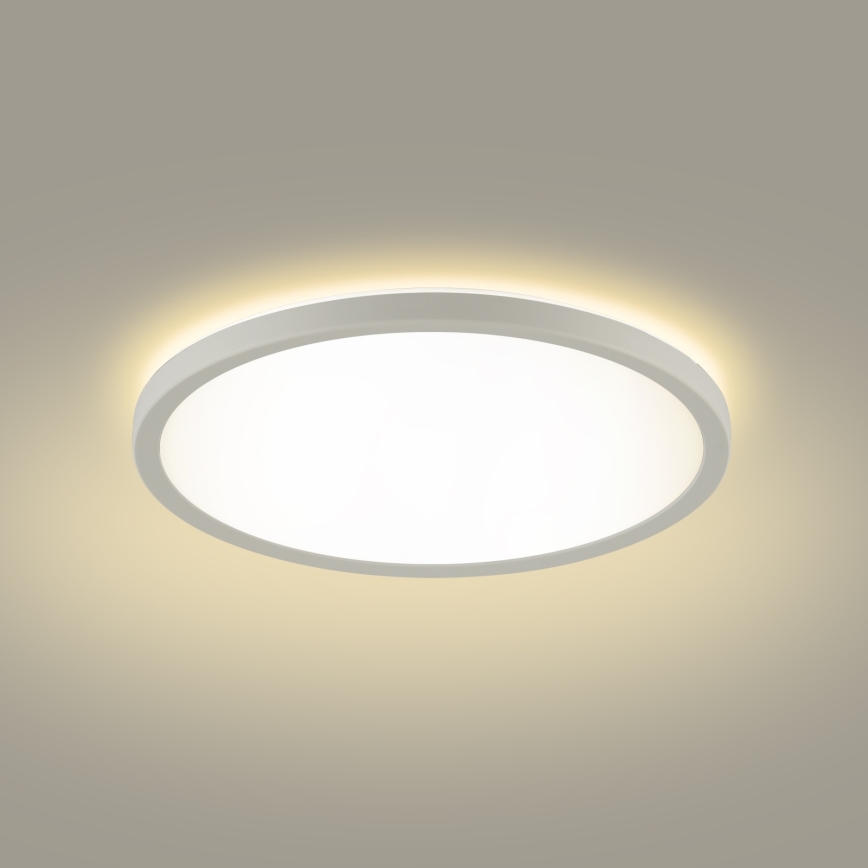 Brilagi - LED-kattovalaisin kylpyhuoneeseen ULTRA SLIM LED/24W/230V 42x42 cm valkoinen IP54