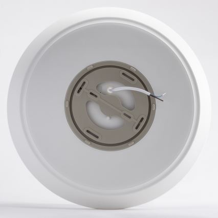 Brilagi - LED-kattovalaisin kylpyhuoneeseen VESTAS LED/28W/230V 3000K IP54