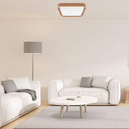 Brilagi - LED-kattovalaisin MANAROLA CUBIC LED/24W/230V 3000-6500K tammi + +kaukosäädin