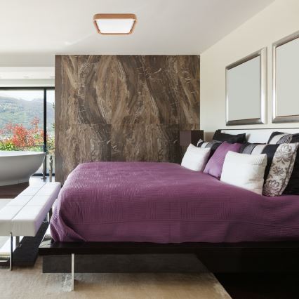 Brilagi - LED-kattovalaisin MANAROLA CUBIC LED/24W/230V 3000-6500K tammi + +kaukosäädin