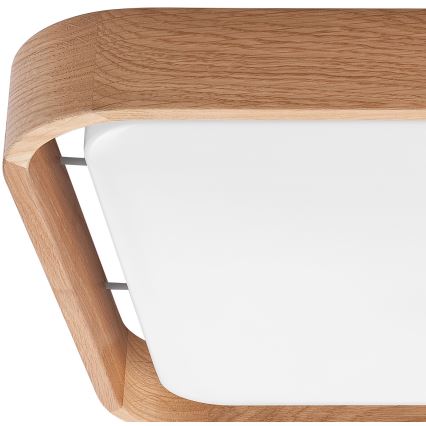 Brilagi - LED-kattovalaisin MANAROLA CUBIC LED/24W/230V 3000-6500K tammi + +kaukosäädin