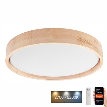 Brilagi - LED-kattovalaisin MANAROLA SMART LED/24W/230V 2700-6500K halkaisija 41 cm Wi-Fi + kauko-ohjaus Tuya