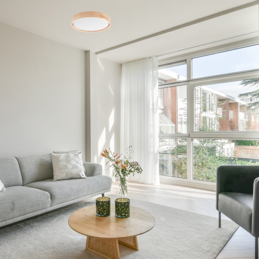 Brilagi - LED-kattovalaisin MANAROLA SMART LED/24W/230V 2700-6500K halkaisija 41 cm Wi-Fi + kauko-ohjaus Tuya