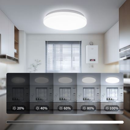 Brilagi - LED-kattovalaisin MILKY WAY LED/24W/230V 3000/4000/6500K halkaisija 38 cm