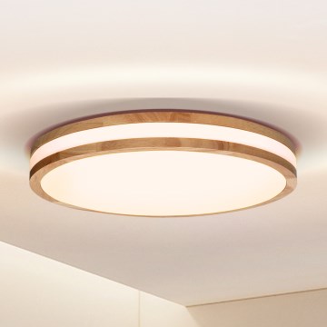 Brilagi - LED-kattovalaisin MOLINA LED/24W/230V tammi