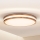 Brilagi - LED-kattovalaisin MOLINA LED/24W/230V tammi