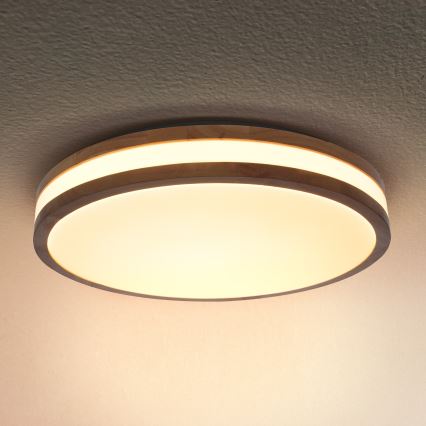 Brilagi - LED-kattovalaisin MOLINA LED/24W/230V tammi