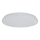 Brilagi - LED-kattovalaisin OPAL LED/24W/230V