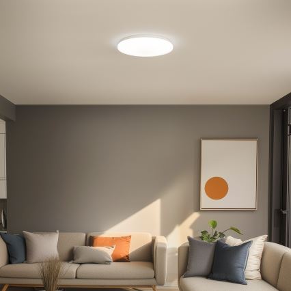 Brilagi - LED-kattovalaisin OPAL LED/24W/230V