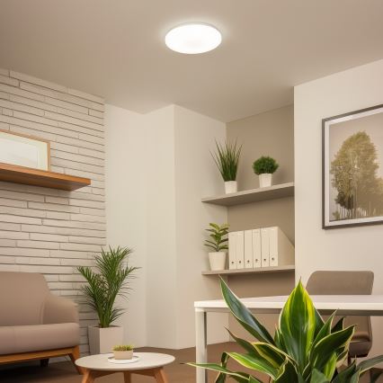 Brilagi - LED-kattovalaisin OPAL LED/24W/230V