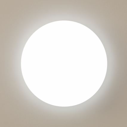 Brilagi - LED-kattovalaisin OPAL LED/24W/230V