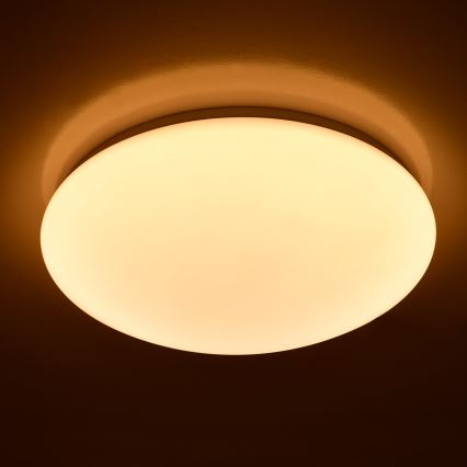Brilagi - LED-kattovalaisin OPAL LED/24W/230V