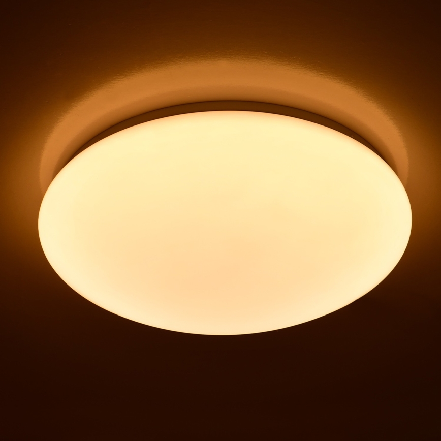 Brilagi - LED-kattovalaisin OPAL LED/24W/230V