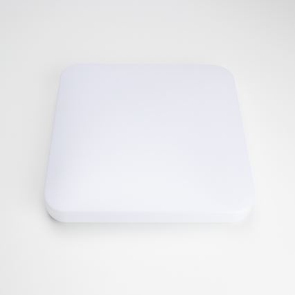 Brilagi - LED-kattovalaisin OPAL LED/24W/230V