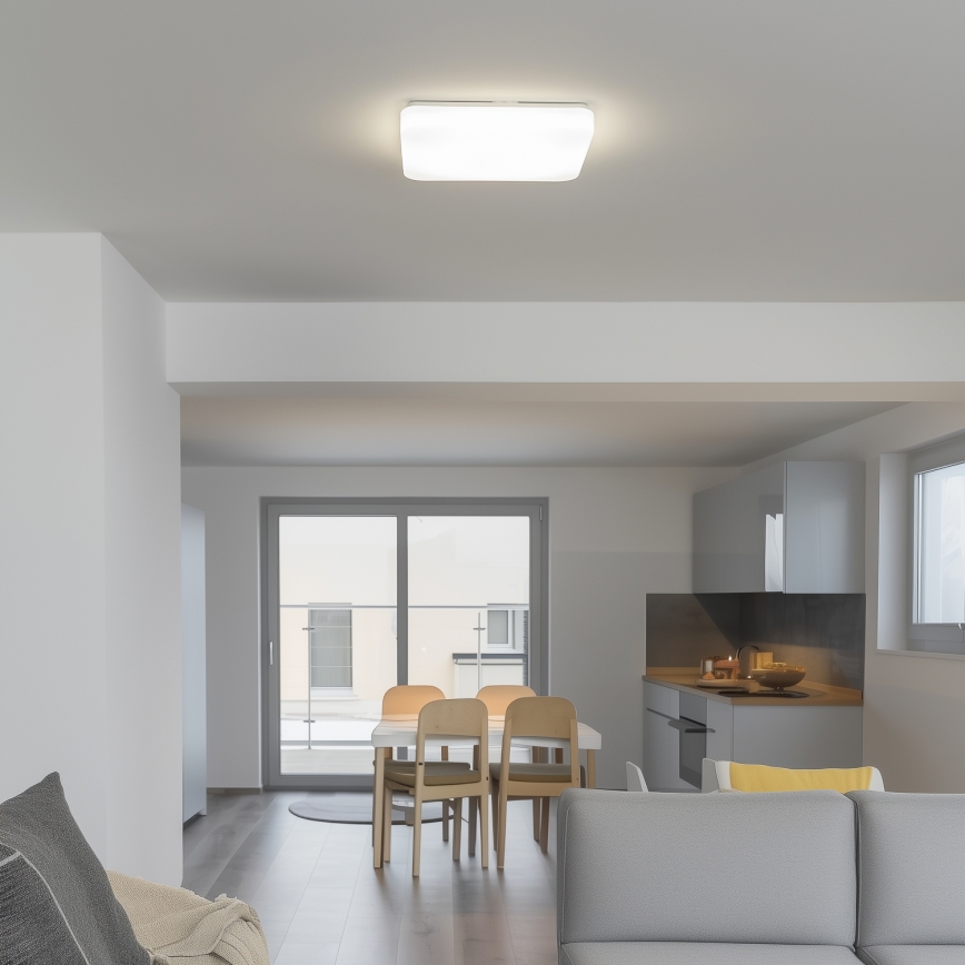 Brilagi - LED-kattovalaisin PLAIN LED/24W/230V 3000K