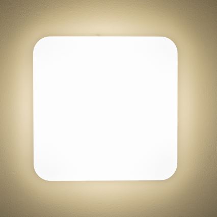 Brilagi - LED-kattovalaisin PLAIN LED/24W/230V 3000K
