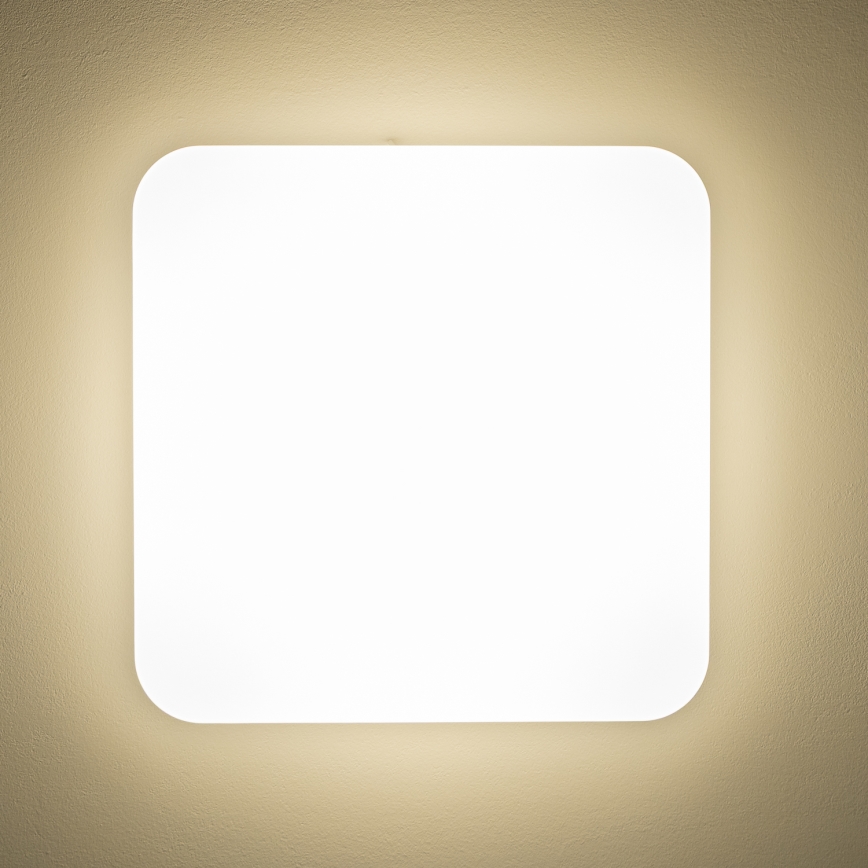 Brilagi - LED-kattovalaisin PLAIN LED/24W/230V 3000K