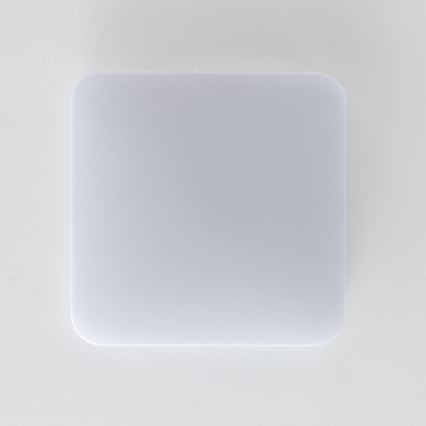 Brilagi - LED-kattovalaisin PLAIN LED/24W/230V 3000K