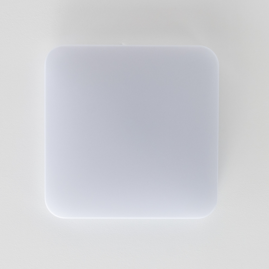 Brilagi - LED-kattovalaisin PLAIN LED/24W/230V 3000K