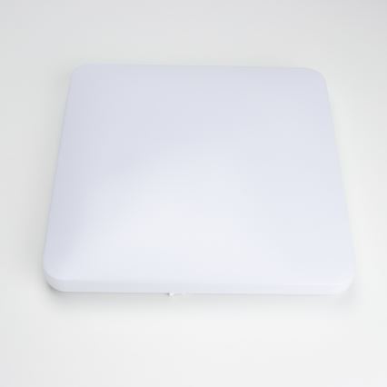Brilagi - LED-kattovalaisin PLAIN LED/24W/230V 3000K