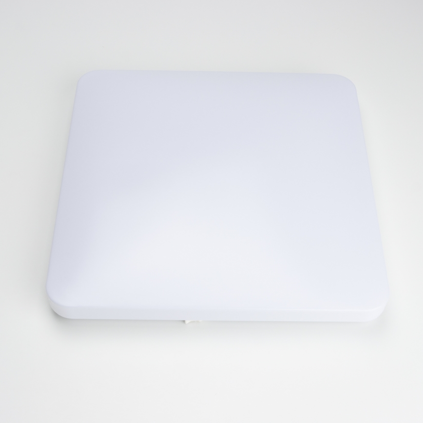 Brilagi - LED-kattovalaisin PLAIN LED/24W/230V 3000K