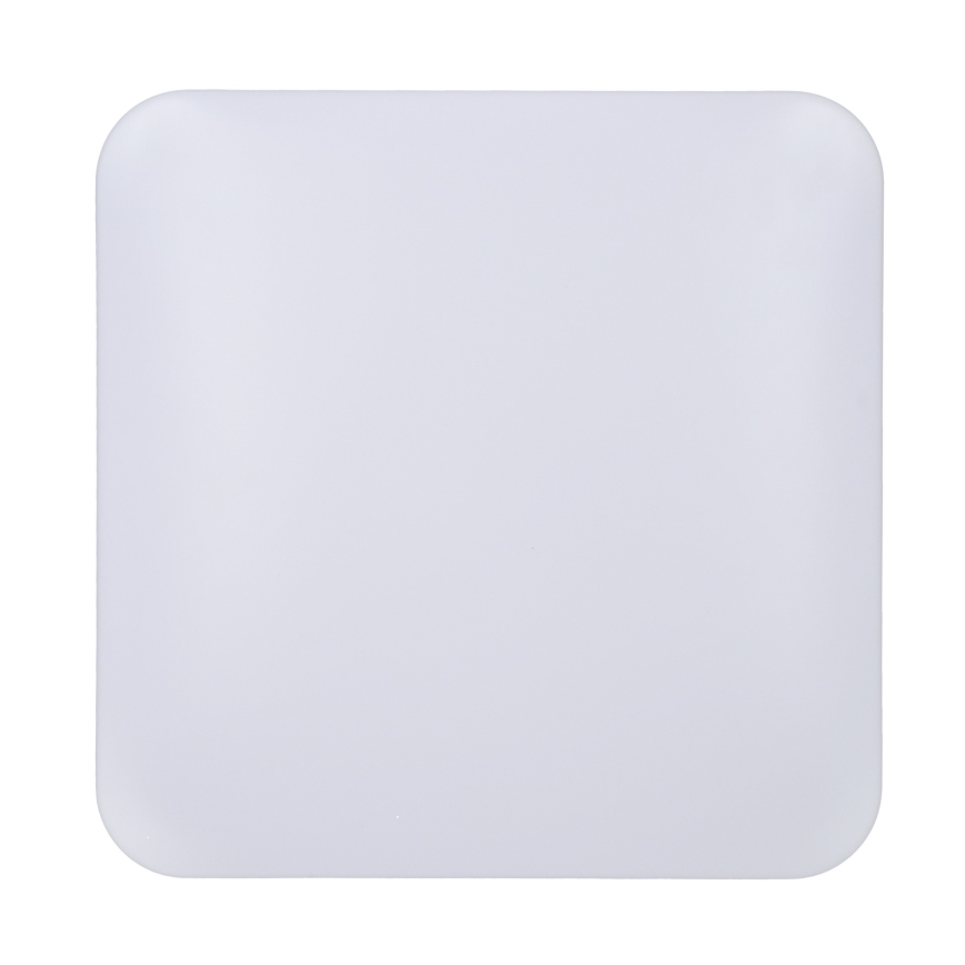 Brilagi - LED-kattovalaisin PLAIN LED/24W/230V 3000K