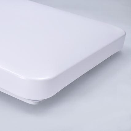 Brilagi - LED-kattovalaisin PLAIN LED/24W/230V 3000K