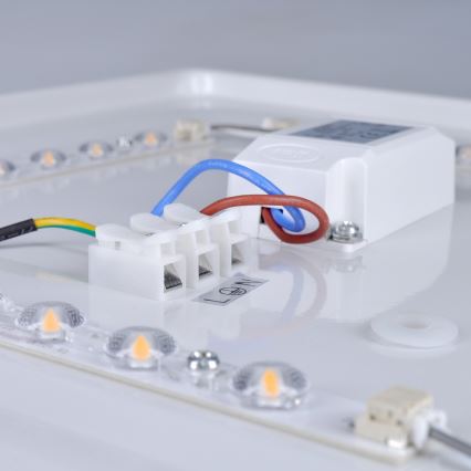 Brilagi - LED-kattovalaisin PLAIN LED/24W/230V 3000K