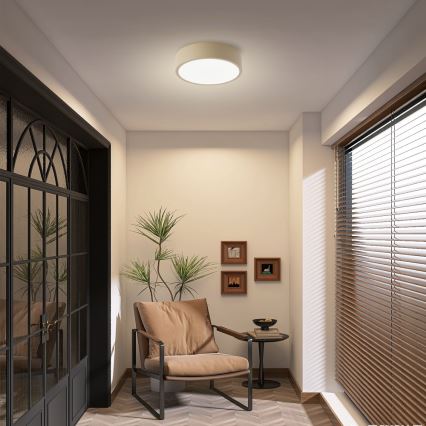 Brilagi - LED-kattovalaisin POOL LED/18W/230V 3000/4500/6000K, halkaisija 20 cm, beige