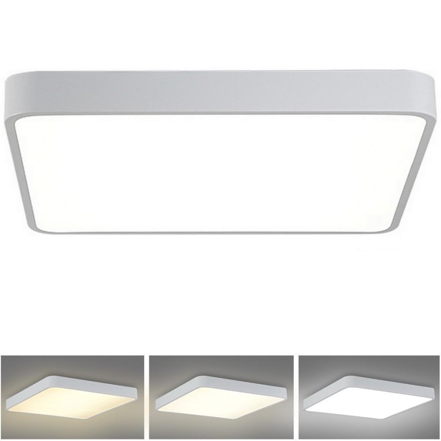 Brilagi - LED-kattovalaisin POOL SQUARE LED/48W/230V 3000/4500/6000K 50x50 cm valkoinen
