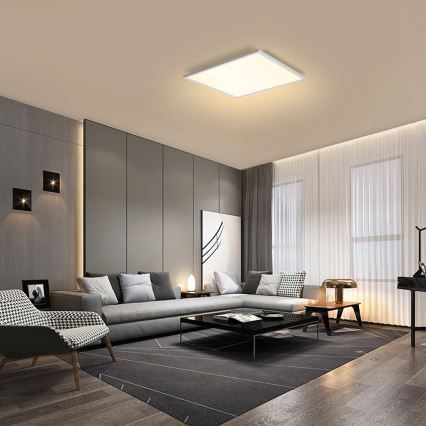 Brilagi - LED-kattovalaisin SLIMFRAME LED/58W/230V 60x60 cm valkoinen